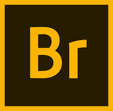 Adobe Bridge 2026 – Permanente licentie (1 Apparaat)