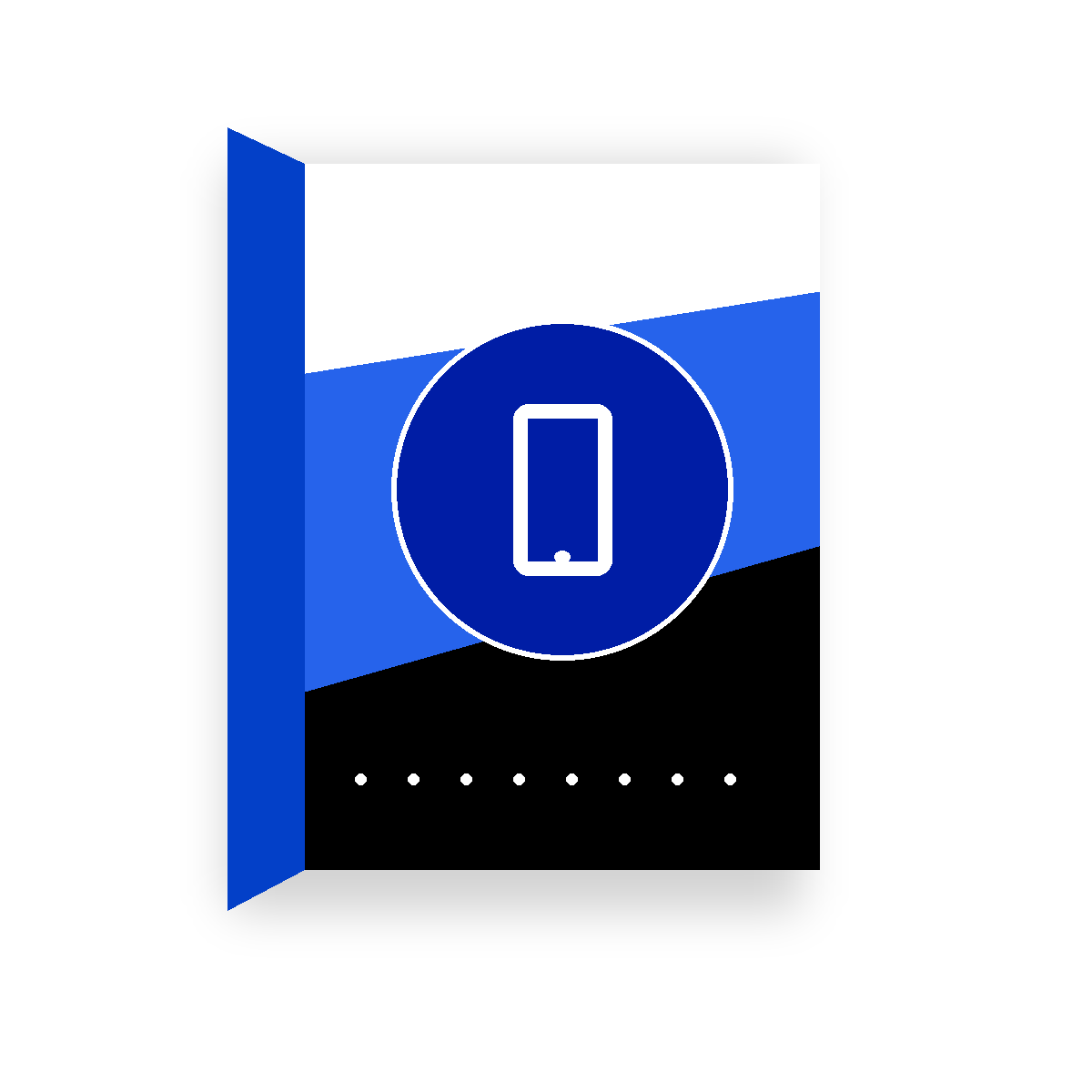 Aiseesoft FoneEraser 1 jaar/1 PC
