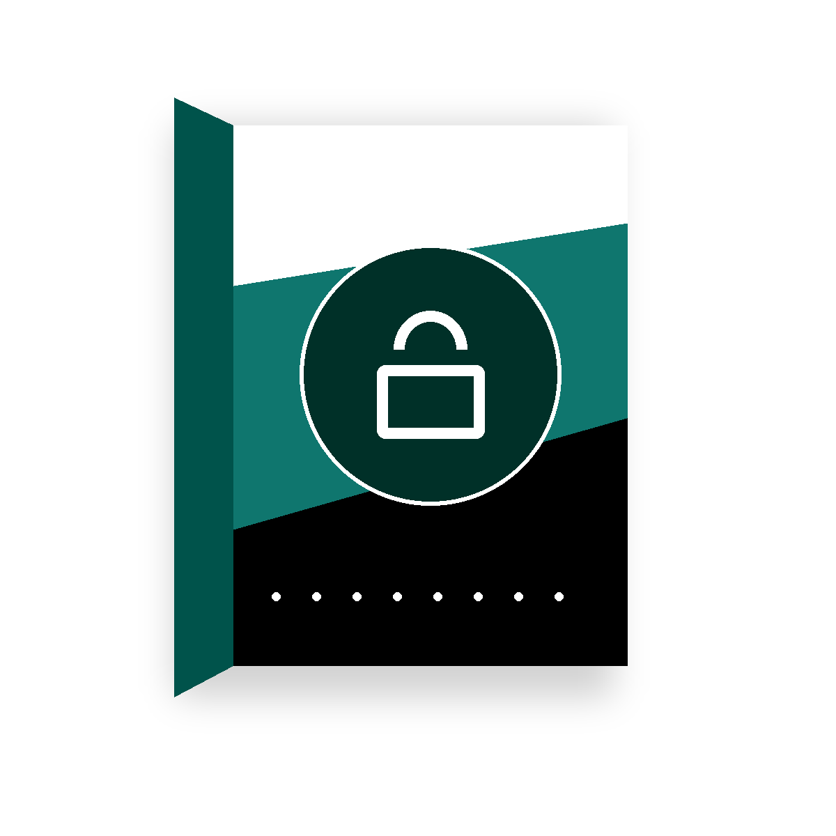 Gilisoft Full Disk Encryption