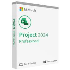 Microsoft Project Professional Plus 2024