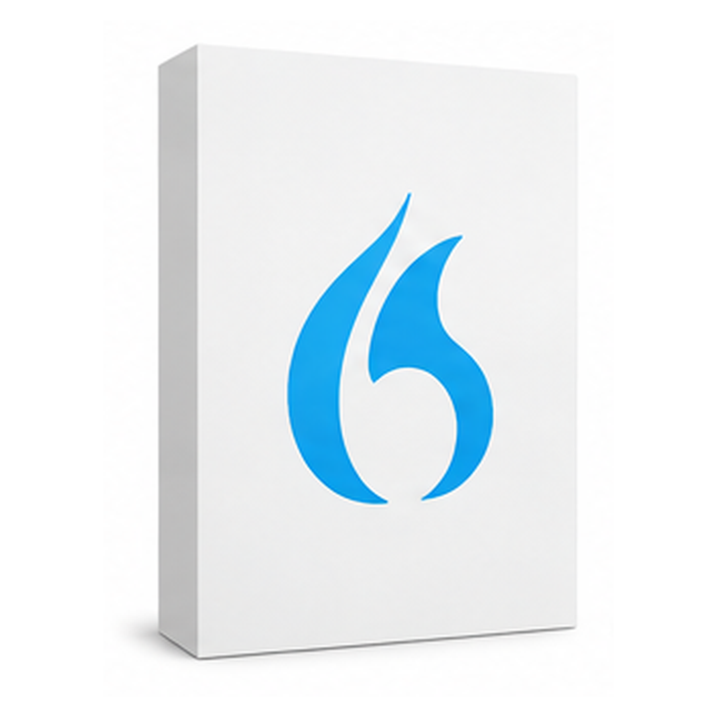 Nuance Dragon NaturallySpeaking Premium 13 English ( PC
