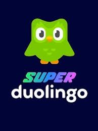 Super Duolingo – 12 Maanden / Duolingo Key