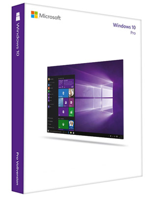 Windows 10 Professional